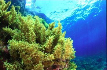 Image 11-22-24 at 2.29 PM